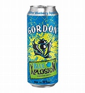 gordon bleu 50cl