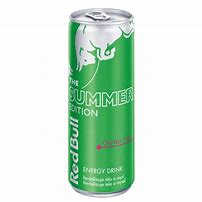 red bull cactus 250ml